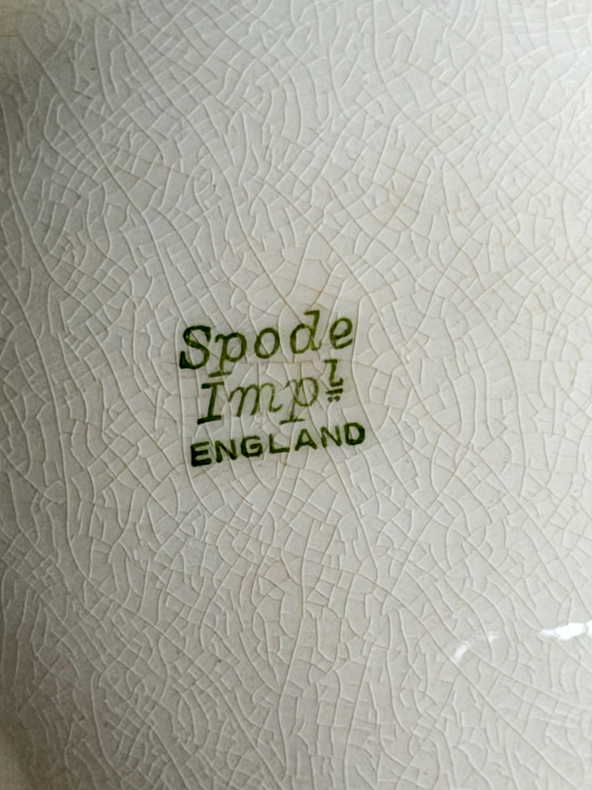 Vintage Spode Porcelain scalloped Serving Platter Ivory 6 Section Relish Tray