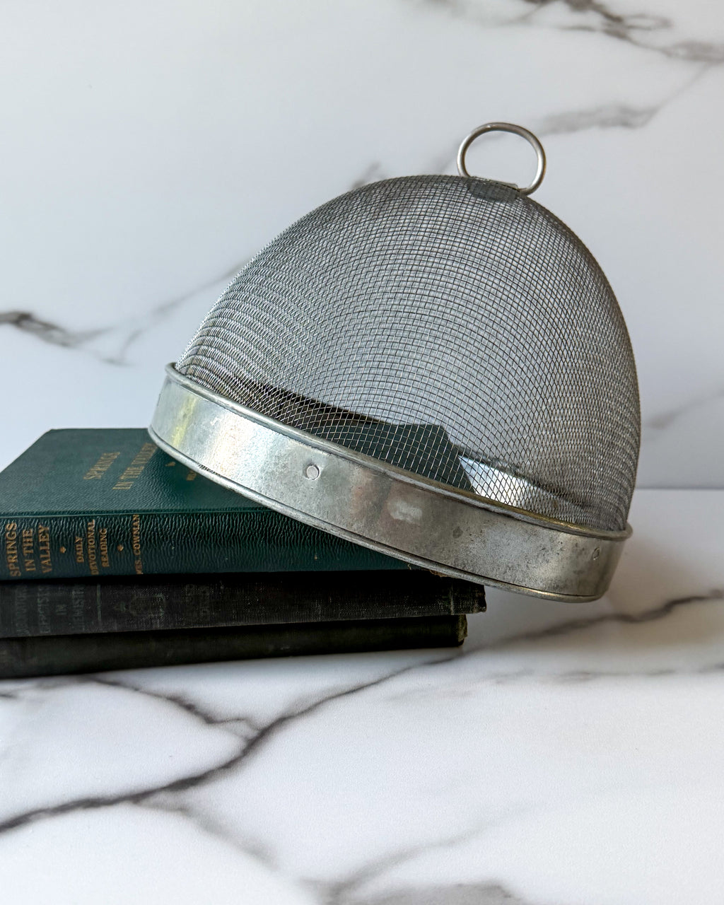 Vintage Wire Mesh Food Cover / Food Guard Dome