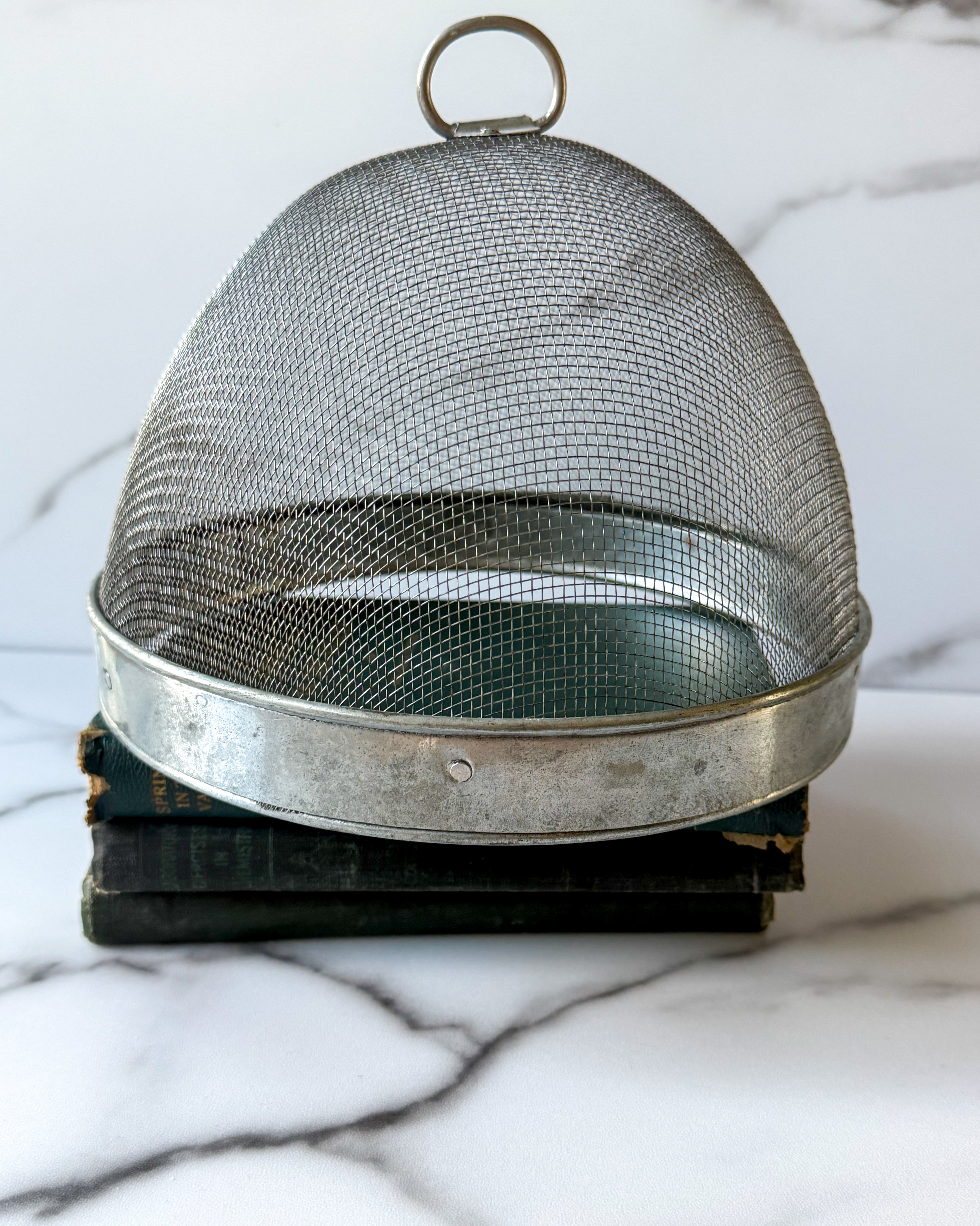Vintage Wire Mesh Food Cover / Food Guard Dome