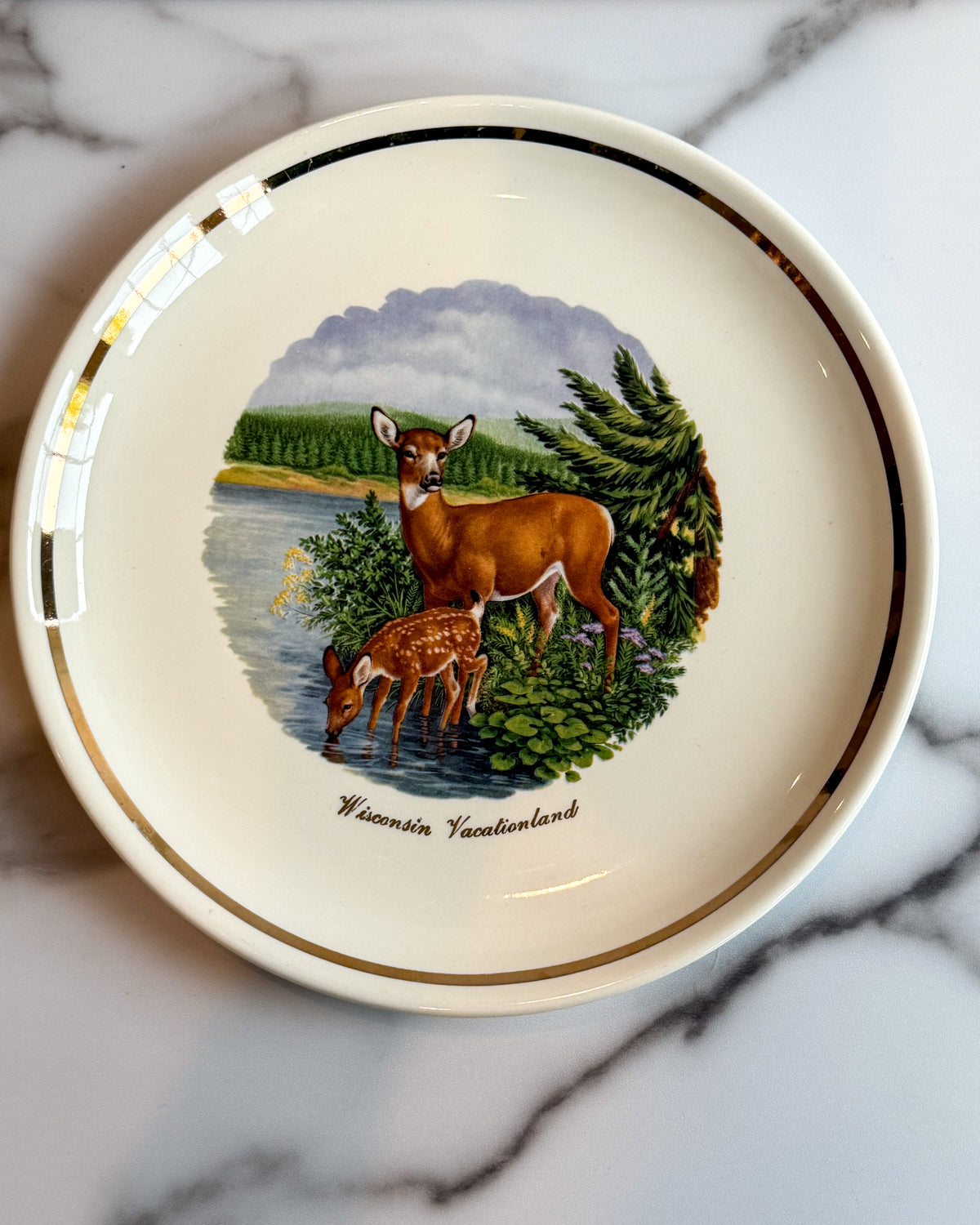 Vintage Wisconsin Vacationland Deer & Fawn Souvenir Plate 9.25” Gold Trim Wildlife Decor