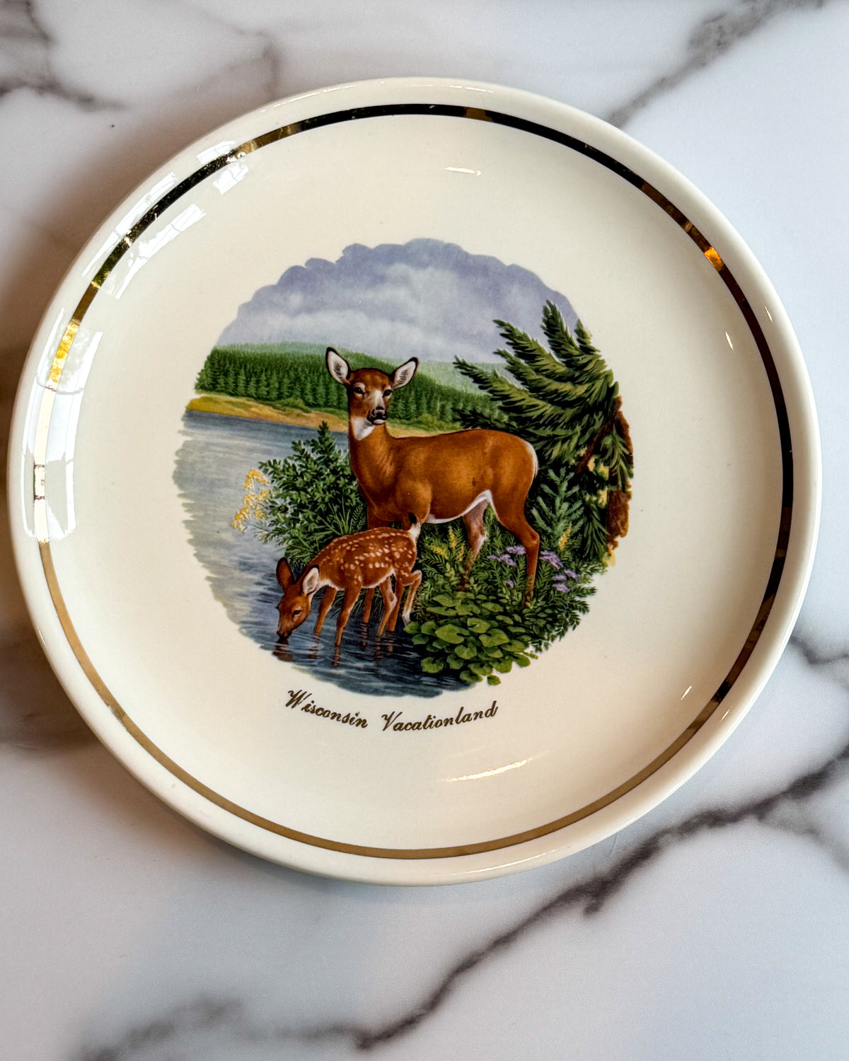Vintage Wisconsin Vacationland Deer & Fawn Souvenir Plate 9.25” Gold Trim Wildlife Decor