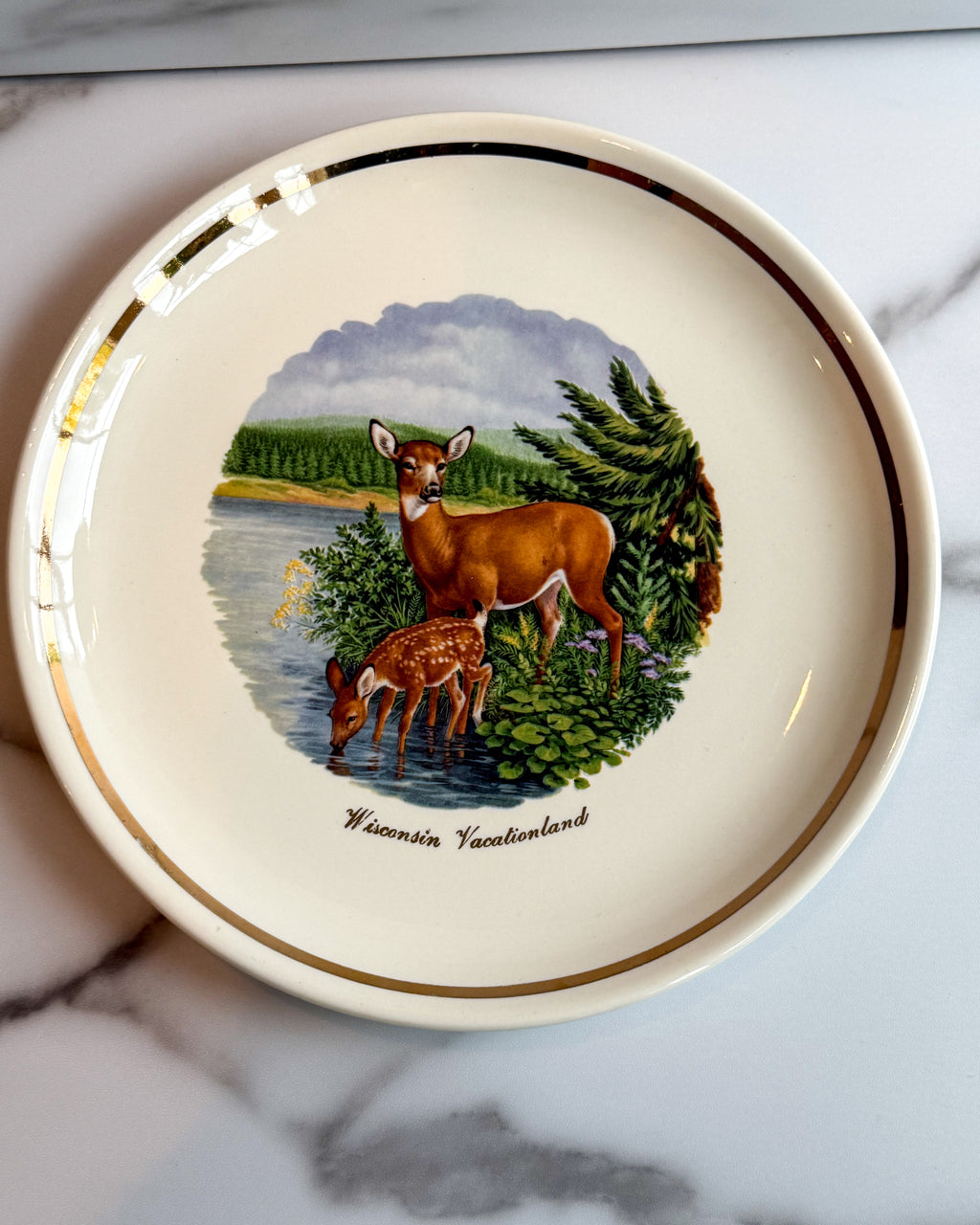 Vintage Wisconsin Vacationland Deer & Fawn Souvenir Plate 9.25” Gold Trim Wildlife Decor