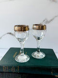 Silver Rim Liqueur Glasses (2)