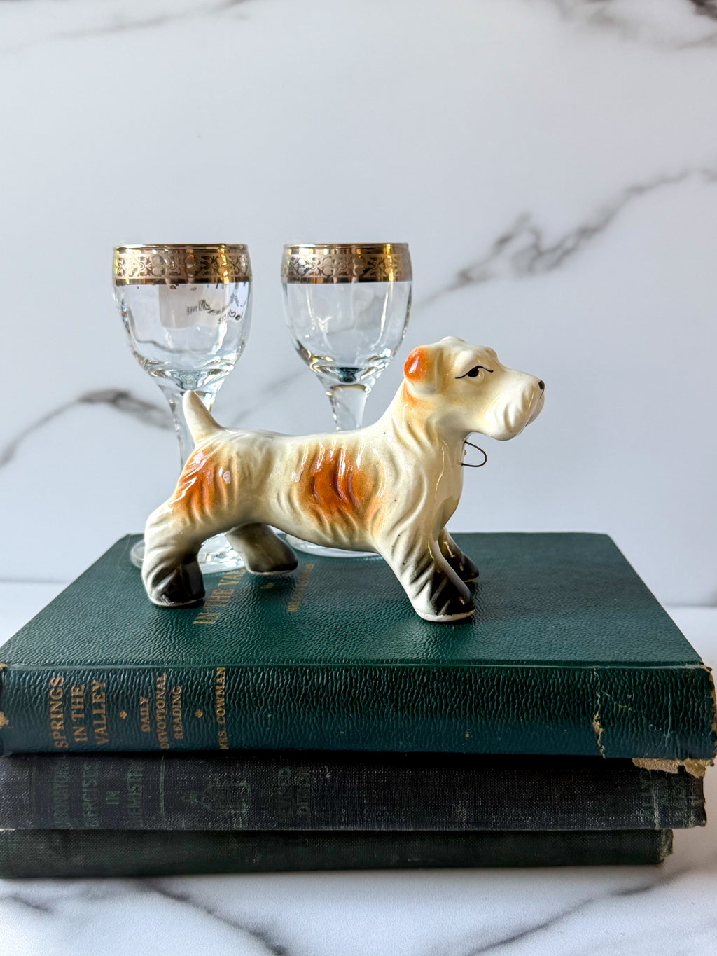 Silver Rim Liqueur Glasses (2)