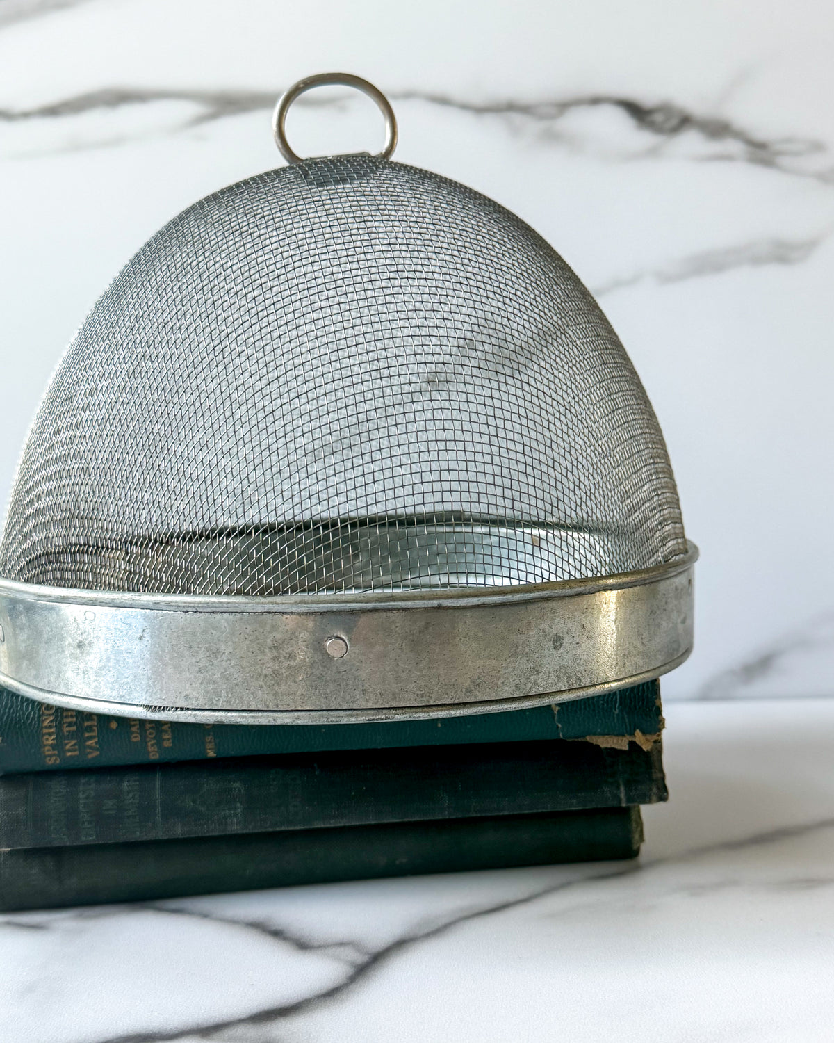 Vintage Wire Mesh Food Cover / Food Guard Dome