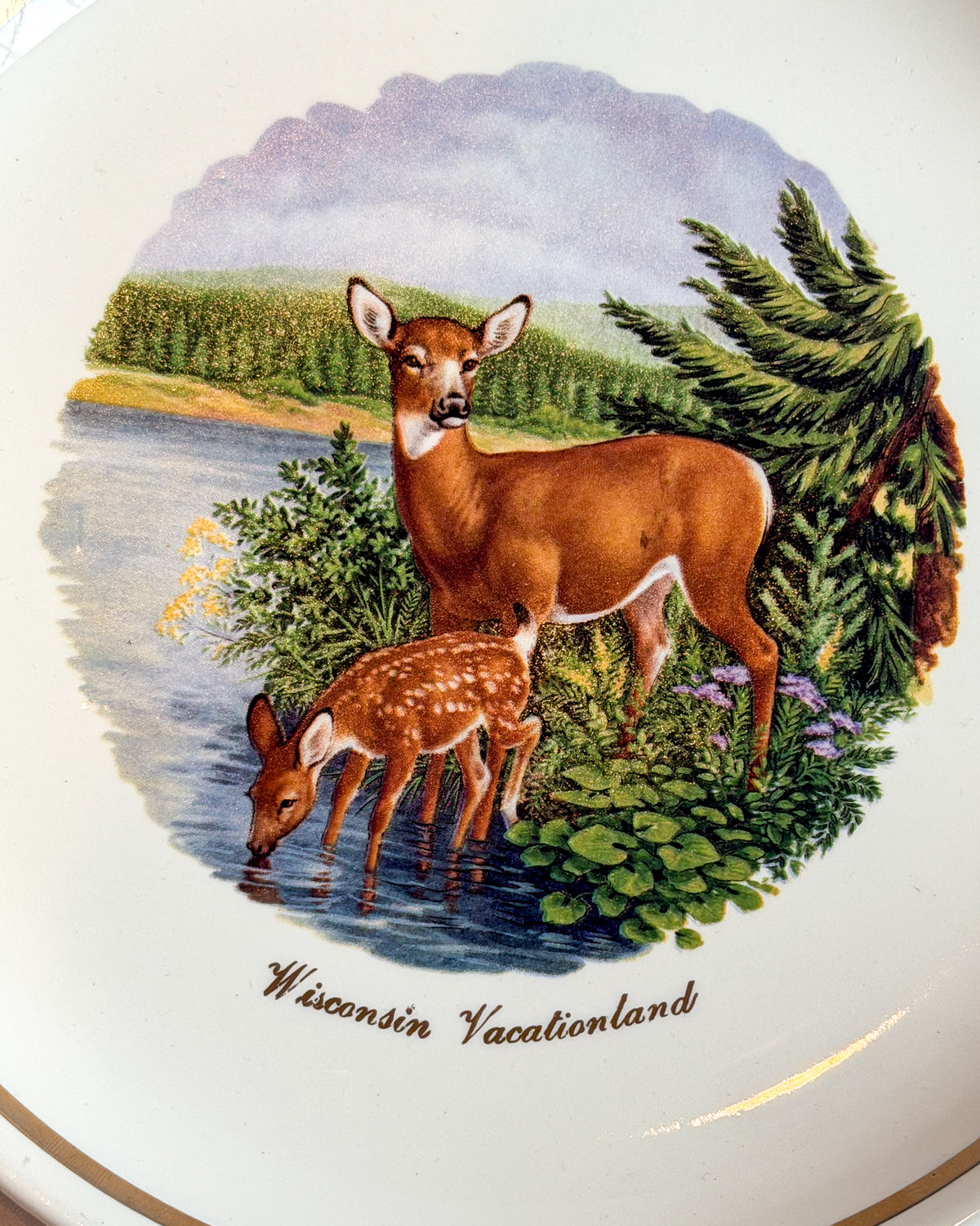 Vintage Wisconsin Vacationland Deer & Fawn Souvenir Plate 9.25” Gold Trim Wildlife Decor